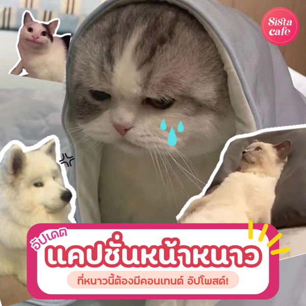 รูปภาพหน้าปกบทความ:แคปชั่นหน้าหนาว 2026 ver. อัปเดตใหม่ หนาวนี้ต้องมีคอนเทนต์ !