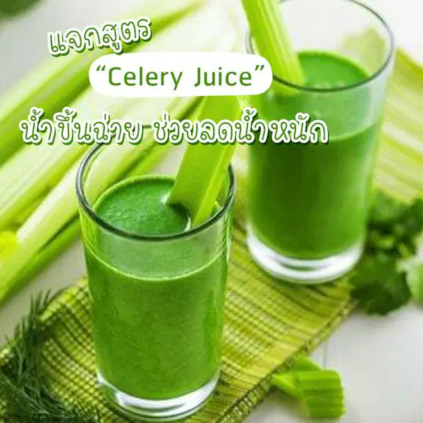 รูปภาพหน้าปกบทความ:คนจะผอมเขาดื่มกันจ้า! แจก 5 สูตร 'Celery Juice' หรือ 'น้ำขึ้นฉ่าย' อีกหนึ่งตัวช่วยในการลดน้ำหนัก