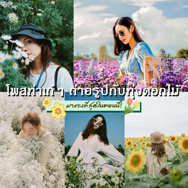 รูปภาพหน้าปกบทความ:รูปปังต้องมี ไลก์รัวต้องมา! รวม 30 ไอเดีย 'โพสท่าเก๋ๆ ถ่ายรูปกับทุ่งดอกไม้' ใครเห็นเป็นต้องกด LOVE