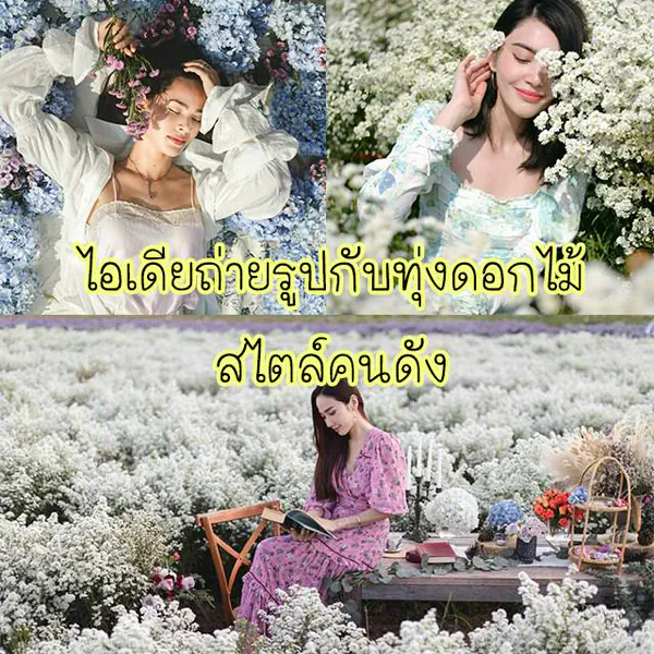 รูปภาพหน้าปกบทความ:ไอเดียถ่ายรูปกับทุ่งดอกไม้สไตล์คนดัง