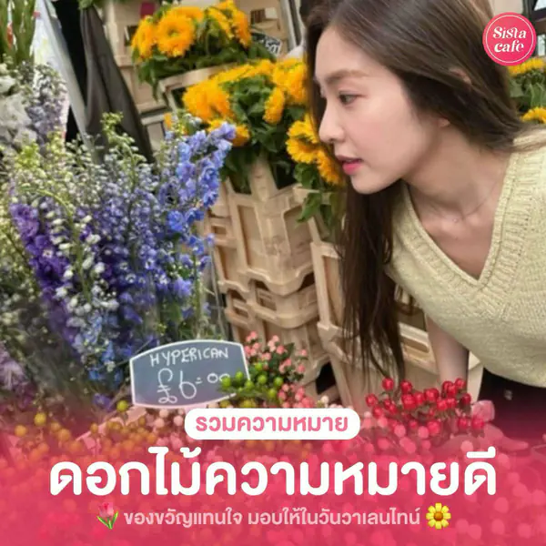 รูปภาพหน้าปกบทความ:10 ดอกไม้ความหมายดีๆ แทนใจ มอบให้ในวันวาเลนไทน์