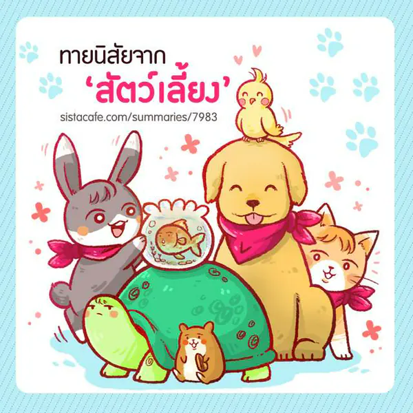 รูปภาพหน้าปกบทความ:สัตว์ลักษณะแบบไหน? บ่งบอกความเป็นคุณ ฉบับสัตว์เลี้ยง