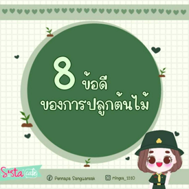 รูปภาพหน้าปกบทความ:8 ข้อดีของการปลูกต้นไม้