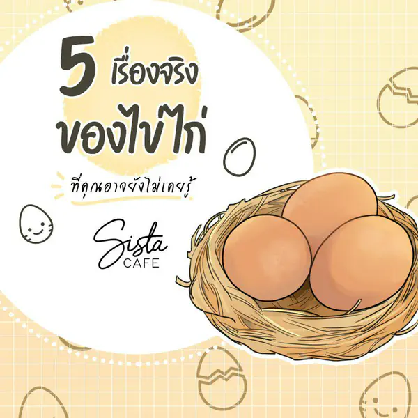 รูปภาพหน้าปกบทความ:5 เรื่องจริง ของไข่ไก่ ที่คุณอาจยังไม่เคยรู้