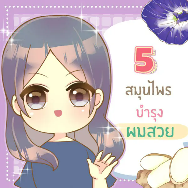รูปภาพหน้าปกบทความ:5 สมุนไพร ช่วยบำรุงผมให้นุ่มสวย เงางามและแข็งแรง