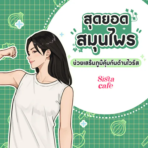 รูปภาพหน้าปกบทความ:สุดยอดสมุนไพร ช่วยเสริมภูมิคุ้มกันต้านไวรัส