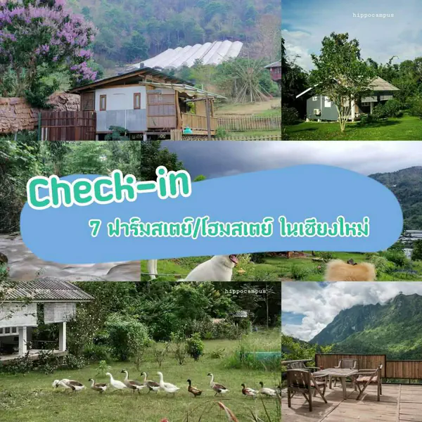 รูปภาพหน้าปกบทความ:Check-in " 7 ฟาร์มสเตย์และโฮมสเตย์ ใกล้ชิดธรรมชาติ " ในเชียงใหม่ 🌳 สูดความสดชื่นให้เต็มปอดไปเลย!