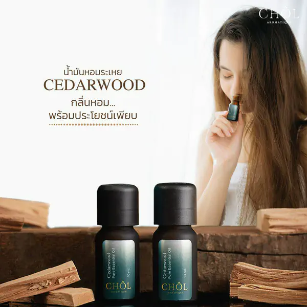 รูปภาพหน้าปกบทความ:9 ประโยชน์สุดปังของ น้ำมันหอมระเหย ‘Cedarwood’