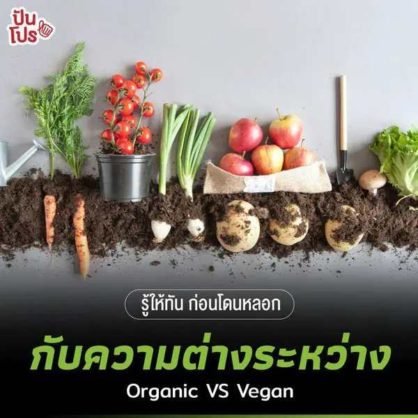 รูปภาพหน้าปกบทความ:รู้ให้ทัน ก่อนโดนหลอก กับความต่างระหว่าง Organic VS Vegan