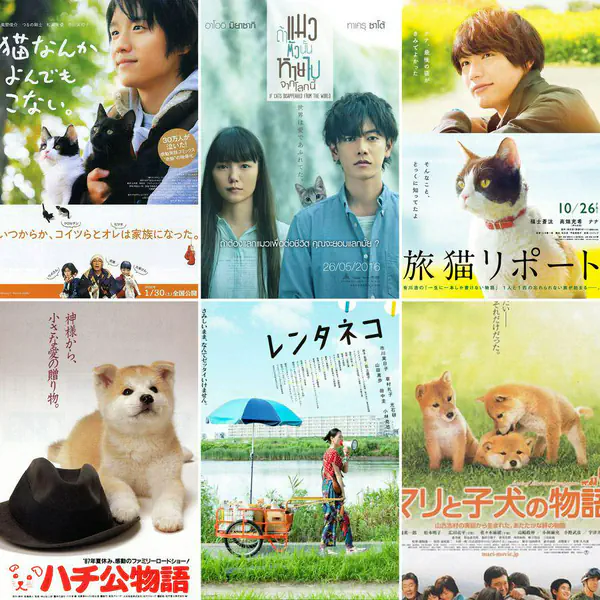 รูปภาพหน้าปกบทความ:ใจเหลวไปหมดแล้ว~ รวม 7 ภาพยนตร์ญี่ปุ่นที่ทาสแมว / คนรักสุนัขไม่ควรพลาด ดูจบแล้วประทับใจหนักมาก 🐶