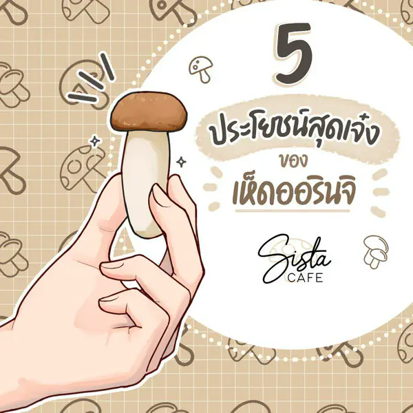 รูปภาพหน้าปกบทความ:5 ประโยชน์สุดเจ๋ง ของเห็ดออรินจิ