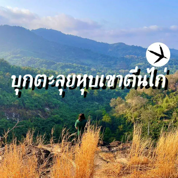 รูปภาพหน้าปกบทความ:บุกตะลุยหุบเขาตีนไก่ Unseen แห่งนครนายก⛰🐔