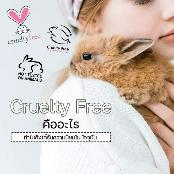 รูปภาพหน้าปกบทความ:เจาะลึก ' Cruelty Free Trend ' คืออะไร? ทำไมหลายคนถึงให้ความสำคัญ ?