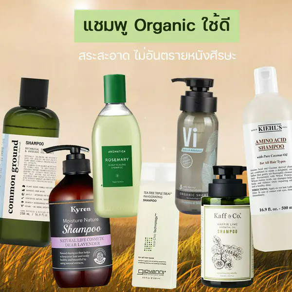 รูปภาพหน้าปกบทความ:รักผม รักษ์โลก 💚 รวมมาให้แล้ว 7 แชมพูออร์แกนิกใช้ดี สระสะอาด ไม่อันตรายหนังศีรษะ