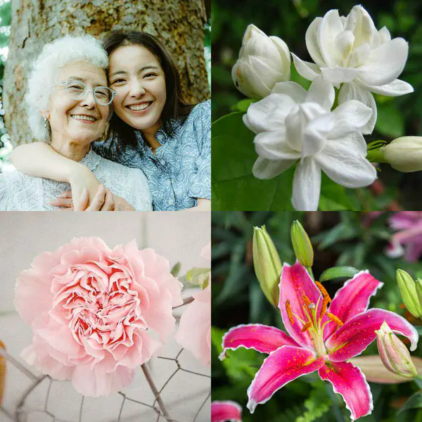 รูปภาพหน้าปกบทความ:ไม่ใช่แค่ดอกมะลิ 🌼 รวม ‘ ดอกไม้แทนใจให้แม่ ’ จัดช่อสวย แถมความหมายดี๊ดี