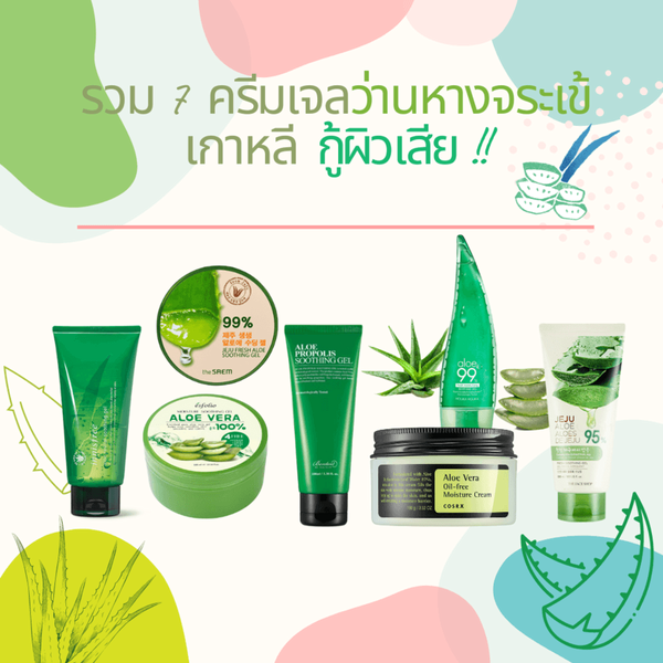 รูปภาพหน้าปกบทความ:ตัวช่วยฟื้นฟูผิว! รวม 7 ' ครีมเจลว่านหางจระเข้เกาหลี ' แก้ปัญหาผิวจนอยู่หมัด