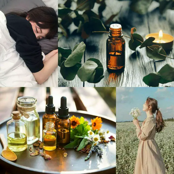 รูปภาพหน้าปกบทความ:ทำความรู้จัก ไอเทมหอม " Essential oil น้ำมันหอมระเหย " คืออะไร? ดีต่อสุขภาพและความงามอย่างไร?