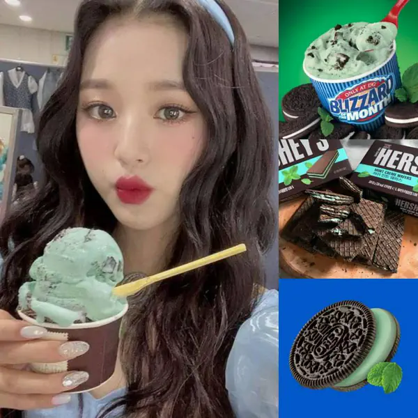 รูปภาพหน้าปกบทความ:มินต์ช็อกเลิฟเวอร์ รวมของกินรสมินต์ช็อก หอมเย็น เข้มข้น
