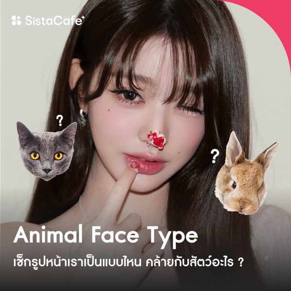รูปภาพหน้าปกบทความ:Animal Face Type รูปหน้าเราเป็นแบบไหน ? เช็กรูปหน้าตามไอดอลเกาหลี