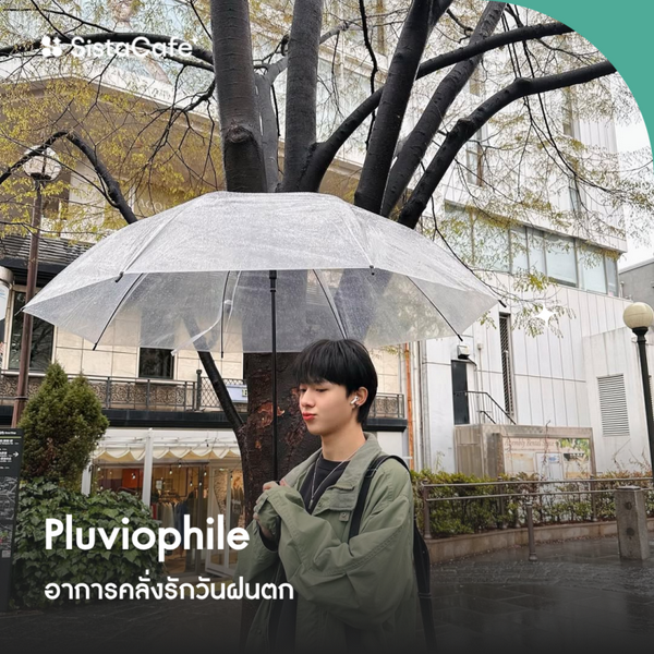 รูปภาพหน้าปกบทความ:Pluviophile อาการคลั่งรักวันฝนตก ทำไมเราถึงชอบบรรยากาศแบบนี้