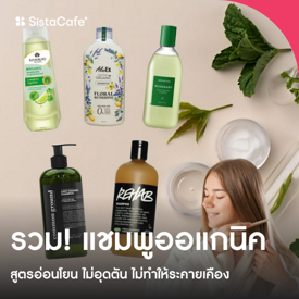 รูปภาพหน้าปกบทความ:แชมพูออแกนิค ลดผมร่วง 2024 อ่อนโยน ไม่อุดตันหนังศีรษะ