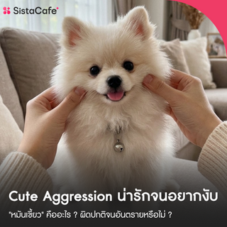 ภาพหน้าปกบทความ:title