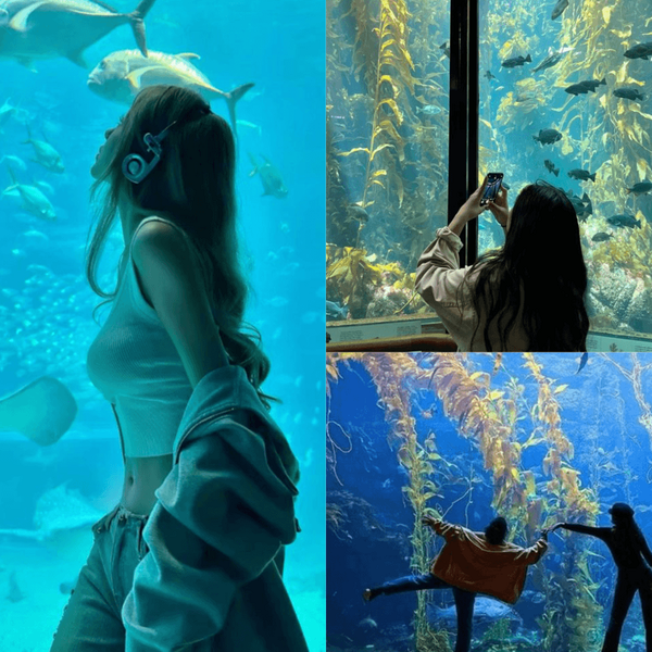 รูปภาพหน้าปกบทความ:ท่าโพสใน Aquarium รวมไอเดียถ่ายรูปอควาเรียม เที่ยวคนเดียวหรือไปเป็นคู่ก็รูปสวย