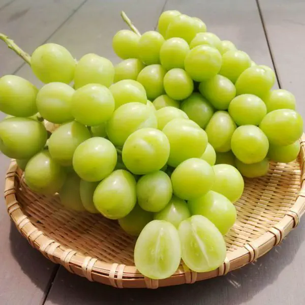รูปภาพหน้าปกบทความ:เมนูแสนง่ายจากผลไม้รสอร่อย! ‘ รวม 7 เมนูจากองุ่นไซมัสคัส ’ ที่ให้ความหวานชุ่มฉ่ำ อร่อยจนแสงออกปาก😋