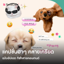 thumbnail:รวมแคปชั่นฮาๆ คลายเครียด อัปเดต 2026 ทัชใจสายเลิฟคอนเทนต์ตลก