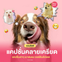 thumbnail:แคปชั่นคลายเครียด รวมแคปชั่นฮา ๆ เบาสมอง เวอร์ชันอัปเดต 2025