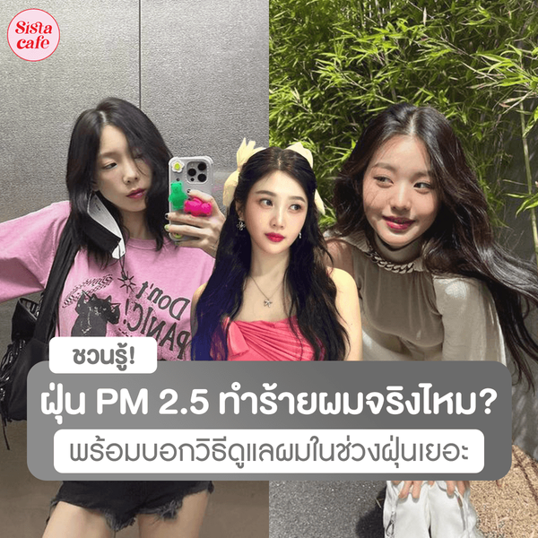 รูปภาพหน้าปกบทความ:ฝุ่น PM 2.5 ทำให้ผมเสียจริงไหม ? How to ดูแลและป้องกันเส้นผมจากฝุ่น