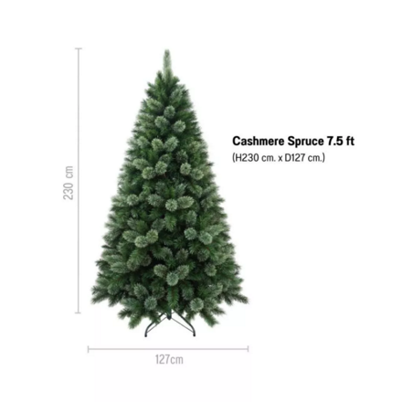 รูปภาพสินค้า:Christmas Tree Cashmere Spruce