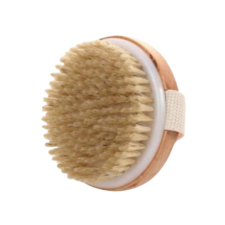 รูปภาพสินค้า:macha dry brush