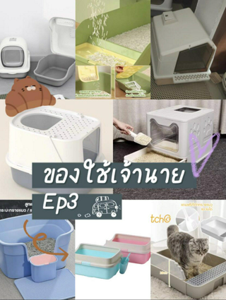 ภาพหน้าปกบทความ:title