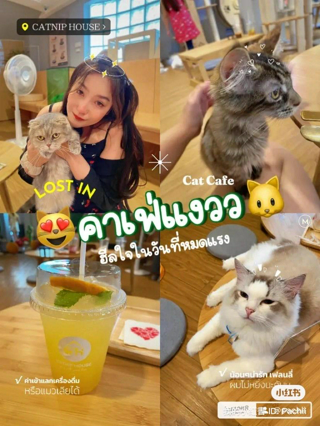 ภาพหน้าปกบทความ:title