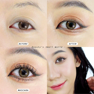 ภาพหน้าปกบทความ:title