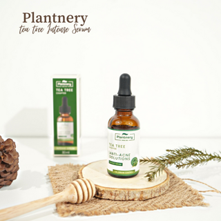 ภาพหน้าปกบทความ:title