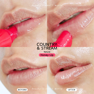 ภาพหน้าปกบทความ:title