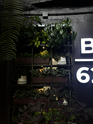 ภาพหน้าปกบทความ:title