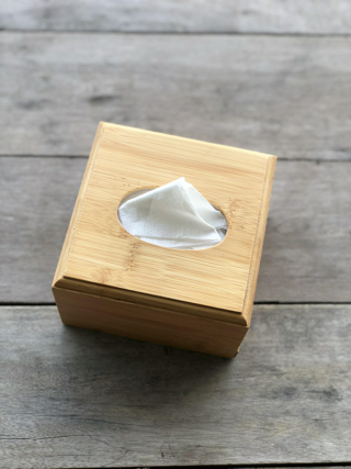 ภาพหน้าปกบทความ:title