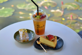 ภาพหน้าปกบทความ:title