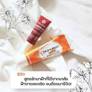 ภาพหน้าปกบทความ:title