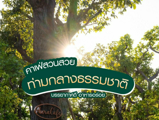 ภาพหน้าปกบทความ:title