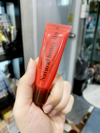 ภาพหน้าปกบทความ:title