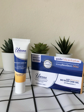 ภาพหน้าปกบทความ:title