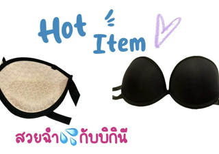 ภาพหน้าปกบทความ:title