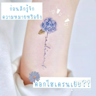 ภาพหน้าปกบทความ:title