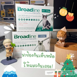 ภาพหน้าปกบทความ:title