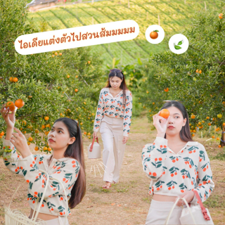 ภาพหน้าปกบทความ:title