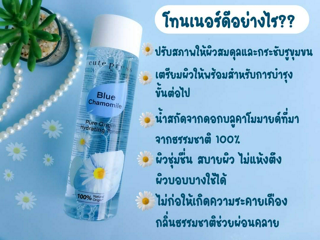 ภาพหน้าปกบทความ:title